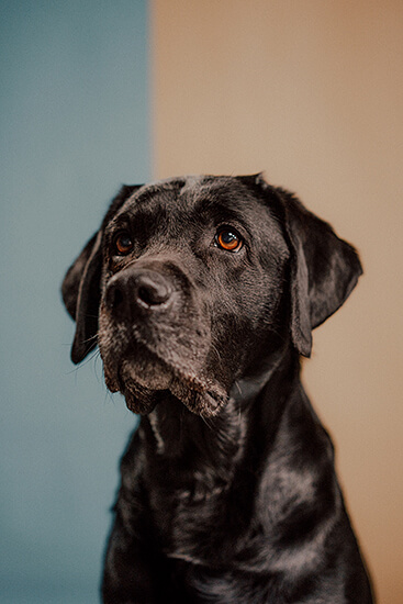 Mitarbeiterfoto Eric