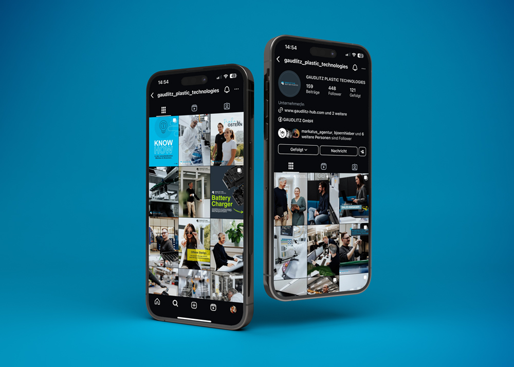 gaudlitz-feed-uebersicht